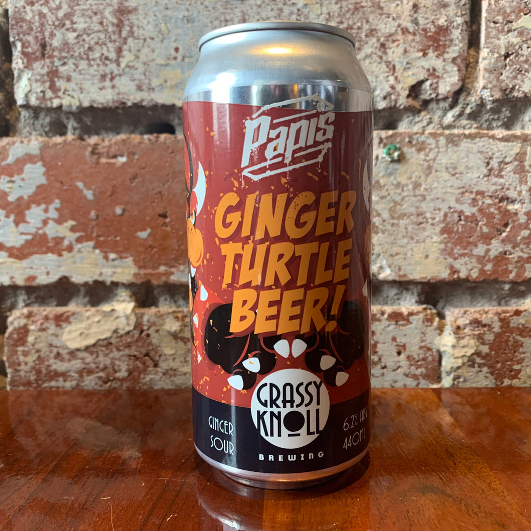 Grassy Knoll Ginger Turtle Beer Ginger Sour