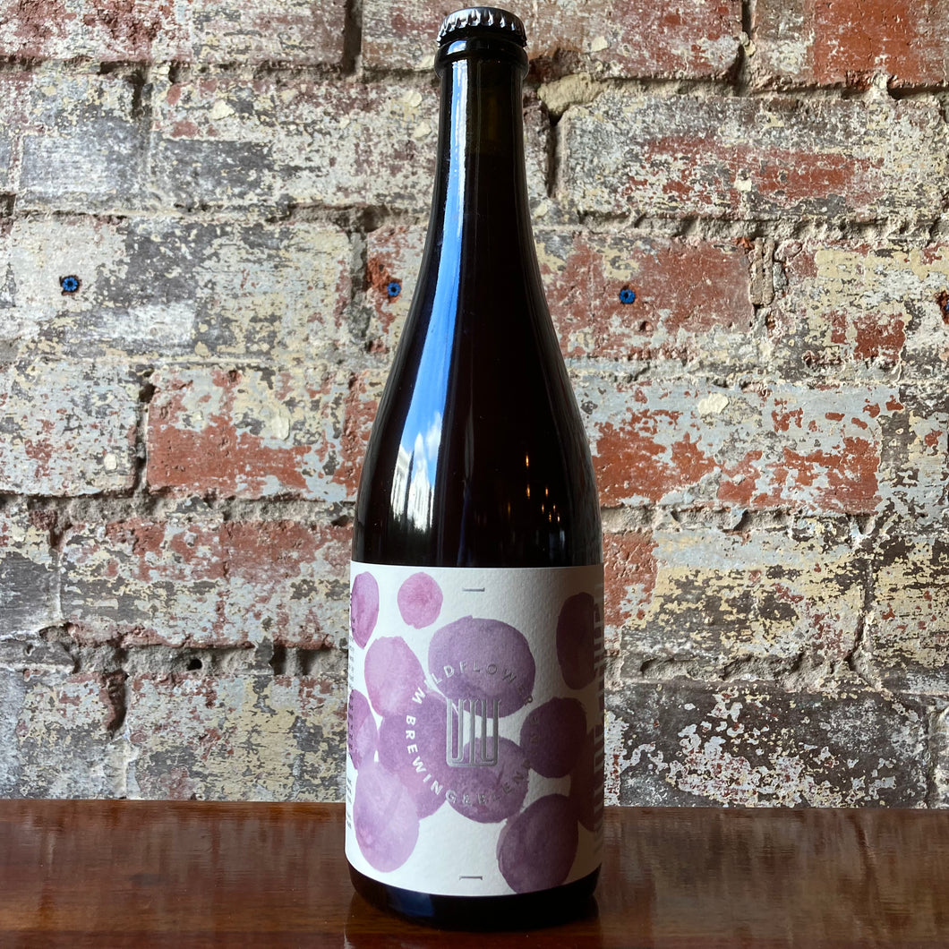 Wildflower St Phoebe 2021 Plum Wild Ale