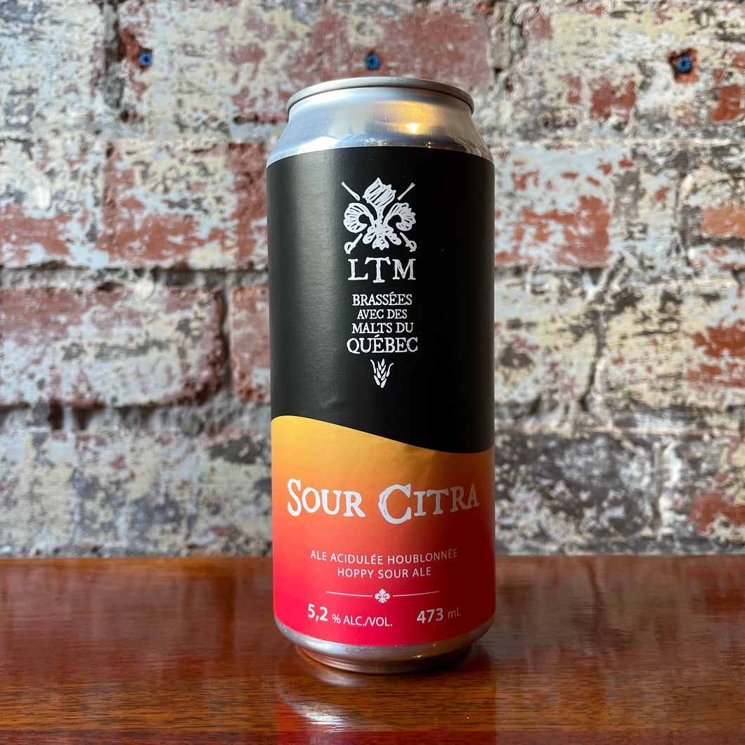 Les Trois Mousquetaires Sour Citra Hoppy Sour Ale